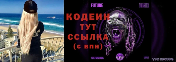 твердый Ельня