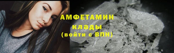 твердый Ельня