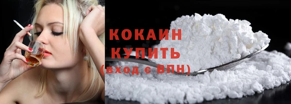 твердый Ельня