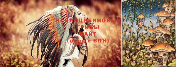 тгк Корсаков