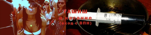 твердый Ельня