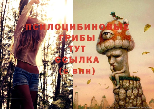 метамфетамин Елизово