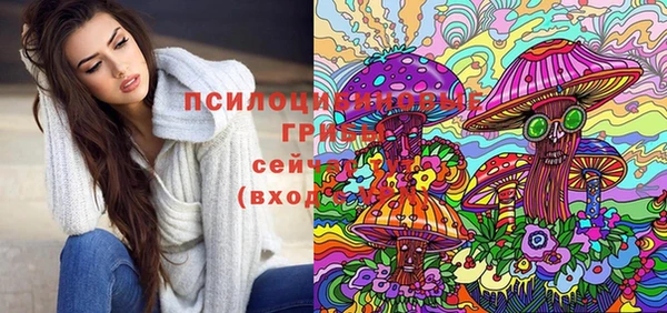 твердый Ельня
