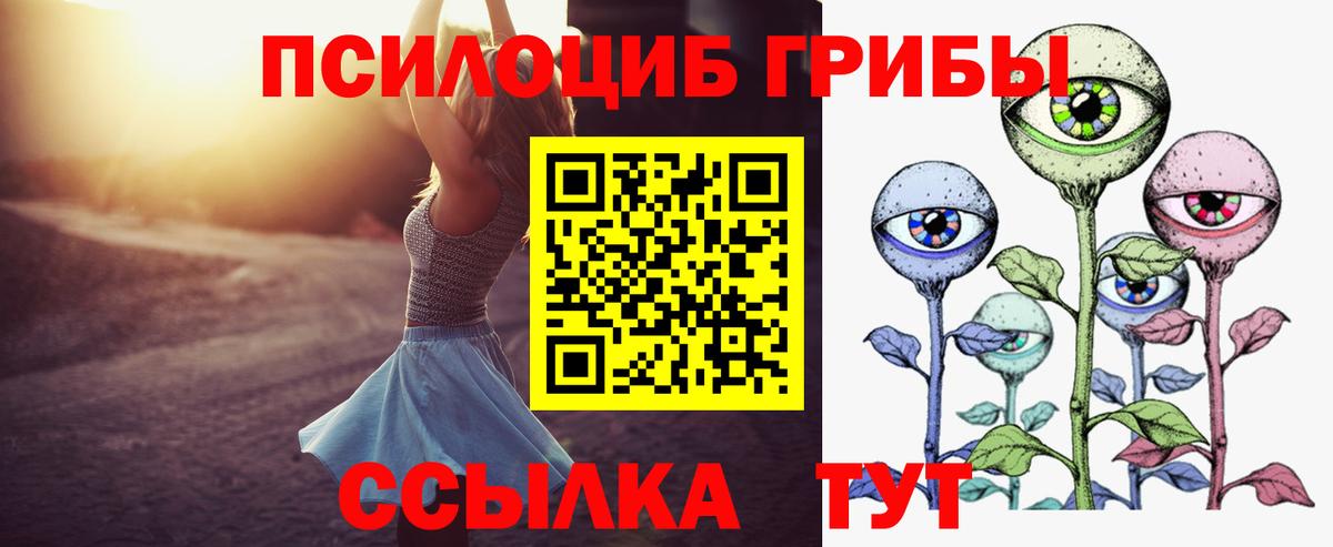 Псилоцибиновые грибы прущие грибы  где продают наркотики  Карасук  Вход с VPN 