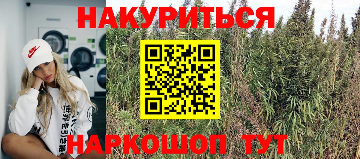 Бошки Шишки ГИДРОПОН Карасук